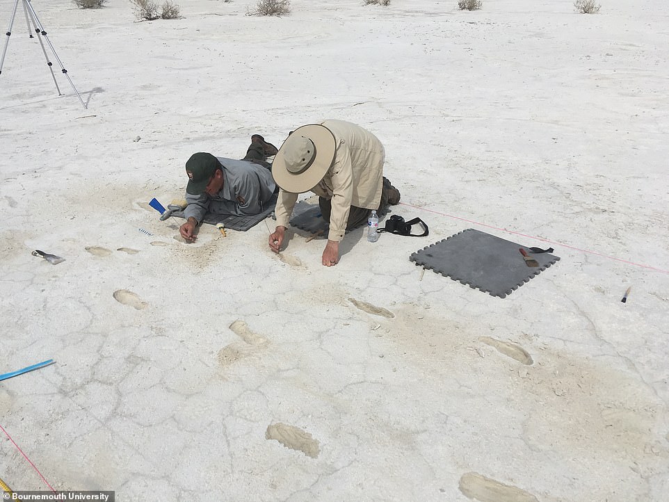 Απολιθωμένα ίχνη 13.000 ετών αποκαλύπτουν μια μητέρα και το παιδί της να τρέχουν για να γλιτώσουν από τα αρπακτικά - ΔΙΕΘΝΗ