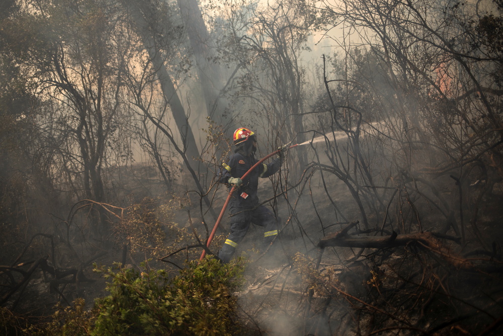Φωτιά στο Σχίνο: Δεύτερη νύχτα πύρινης κόλασης – Εκκενώνονται και άλλοι οικισμοί – Δύσκολες ώρες για τα Μέγαρα - ΕΛΛΑΔΑ