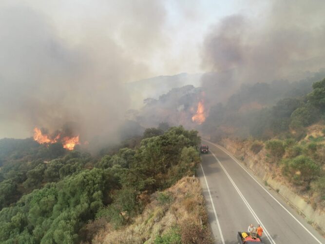 Πυρκαγιά στην Κατάβαση Χίου – Εγκαταλείπουν τα σπίτια τους οι κάτοικοι - ΕΛΛΑΔΑ